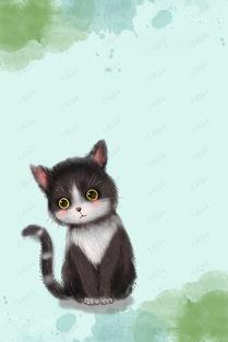 黑猫背影图片,神秘魅影的瞬间捕捉