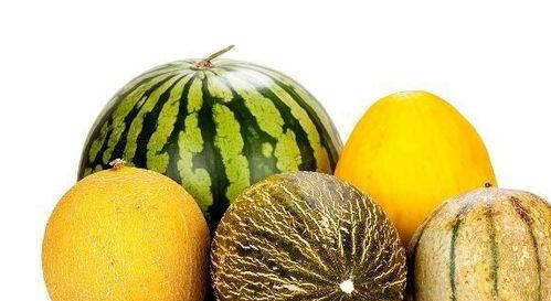 娱乐吃瓜作品有哪些类型,吃瓜群众的多元化娱乐作品类型大盘点 第2张 娱乐吃瓜作品有哪些类型,吃瓜群众的多元化娱乐作品类型大盘点 第2张