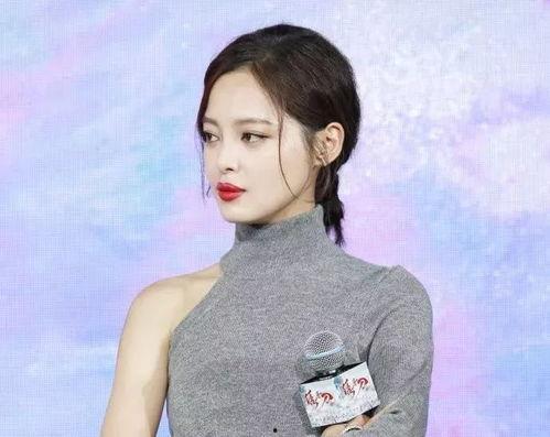 辛芷蕾发型图片  第2张