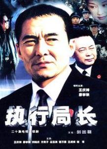 执行局长电视剧演员表,实力派明星齐聚演绎反腐风云