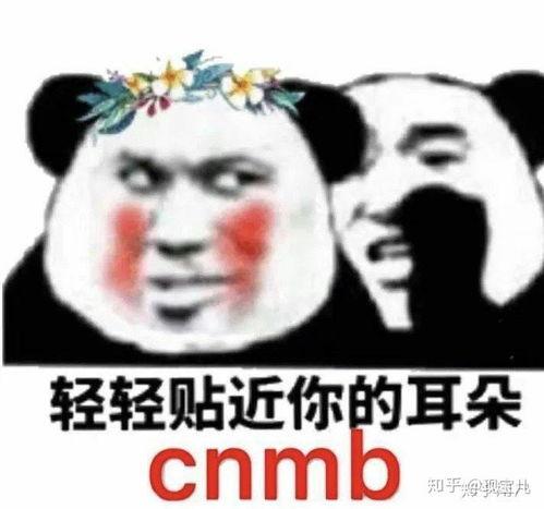 为什么表情包都是熊猫,萌态横生的网络文化现象解析  第2张
