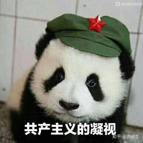 为什么表情包都是熊猫,萌态横生的网络文化现象解析  第3张