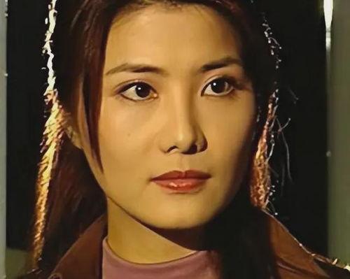 演员杨丽菁个人资料,从武侠女神到实力派演员的华丽蜕变  第2张