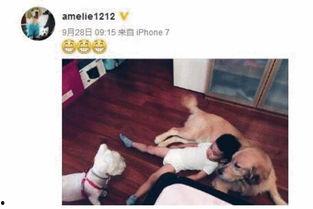 李晨妻子个人资料,美丽与智慧并存的时尚辣妈  第3张