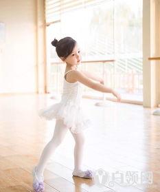 蔡书灵个人资料,才华横溢的青年才俊，多领域成就斐然的杰出代表  第3张