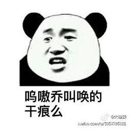 大连话表情包,趣味横生的东北风情  第3张