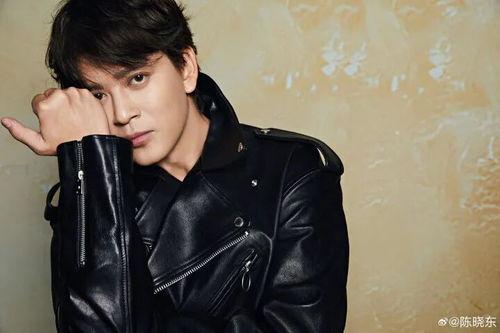 演员陈晓东个人资料,从偶像歌手到实力演员的蜕变之路  第3张